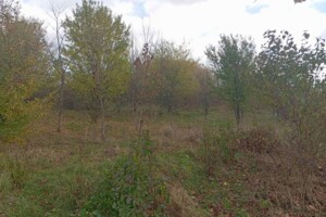 Аренда земли коммерческого назначения в Нижней Стинаве, цена: 97 594 грн за объект фото 1