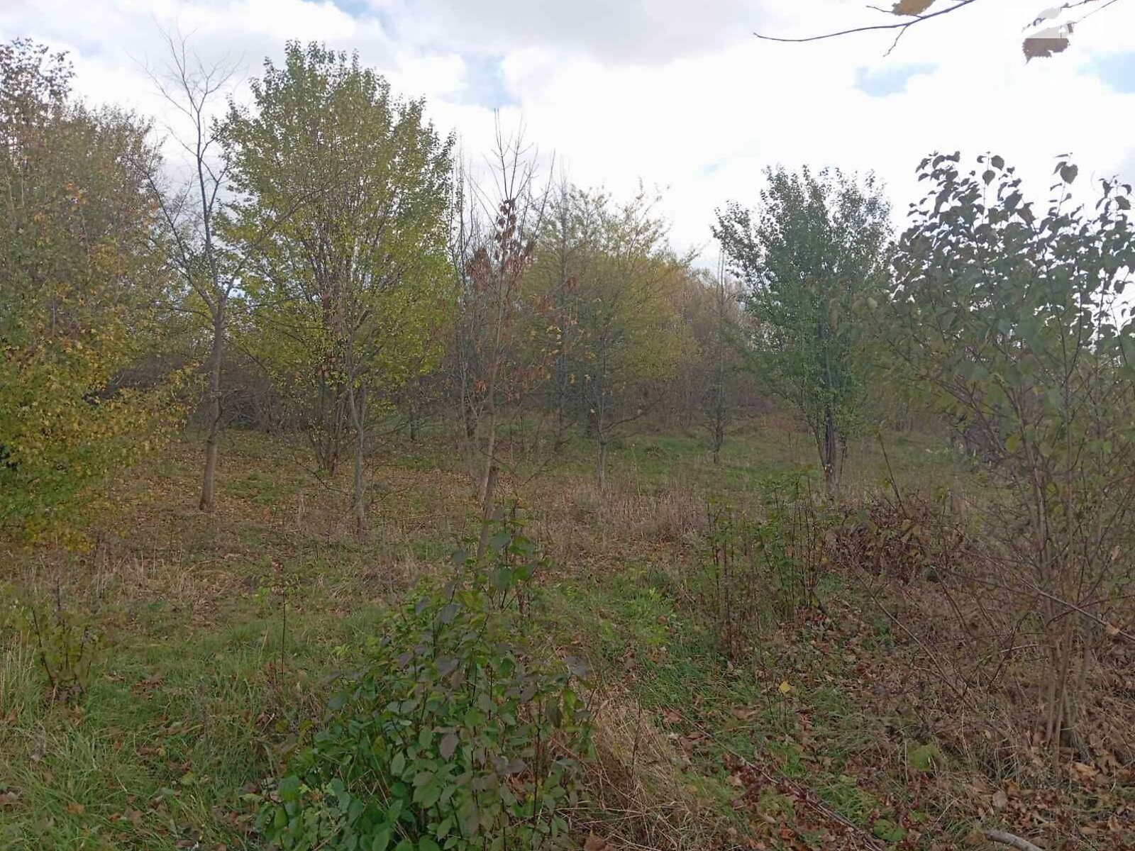 Аренда земли коммерческого назначения в Нижней Стинаве, цена: 97 594 грн за объект фото 1