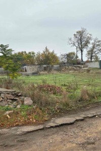 Оренда землі комерційного призначення в Новій Одесі, ціна: 11 266 грн за об’єкт фото 1