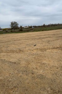 Аренда земли коммерческого назначения в НоваяОдессе, цена: 644 459 грн за объект фото 2 Аренда земли коммерческого назначения в НоваяОдессе, цена: 644 459 грн за объект фото 2