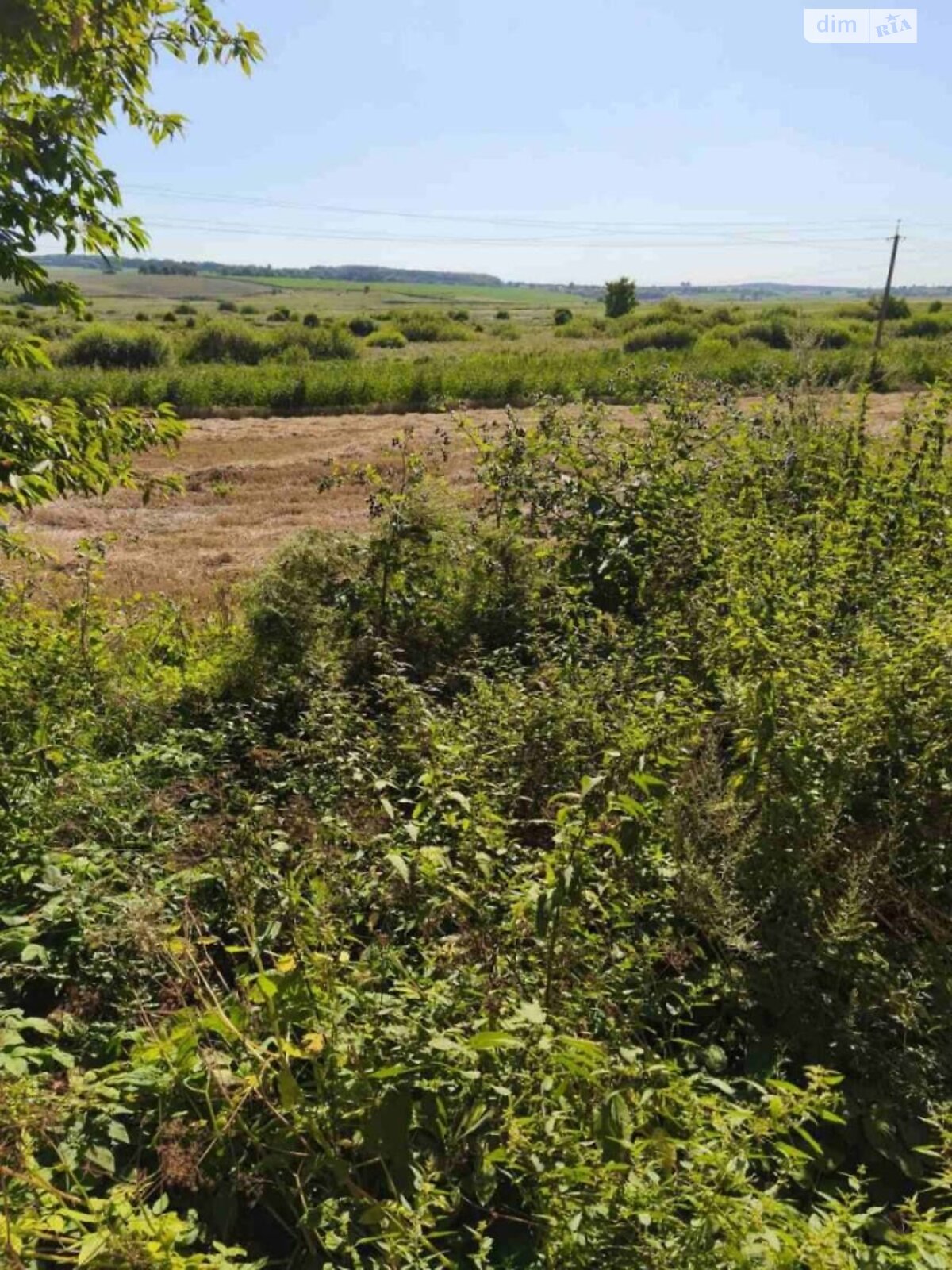 Аренда земли коммерческого назначения в Новоставе, цена: 6 682 грн за объект фото 1