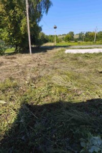 Аренда земли коммерческого назначения в Новоставе, цена: 6 682 грн за объект фото 2