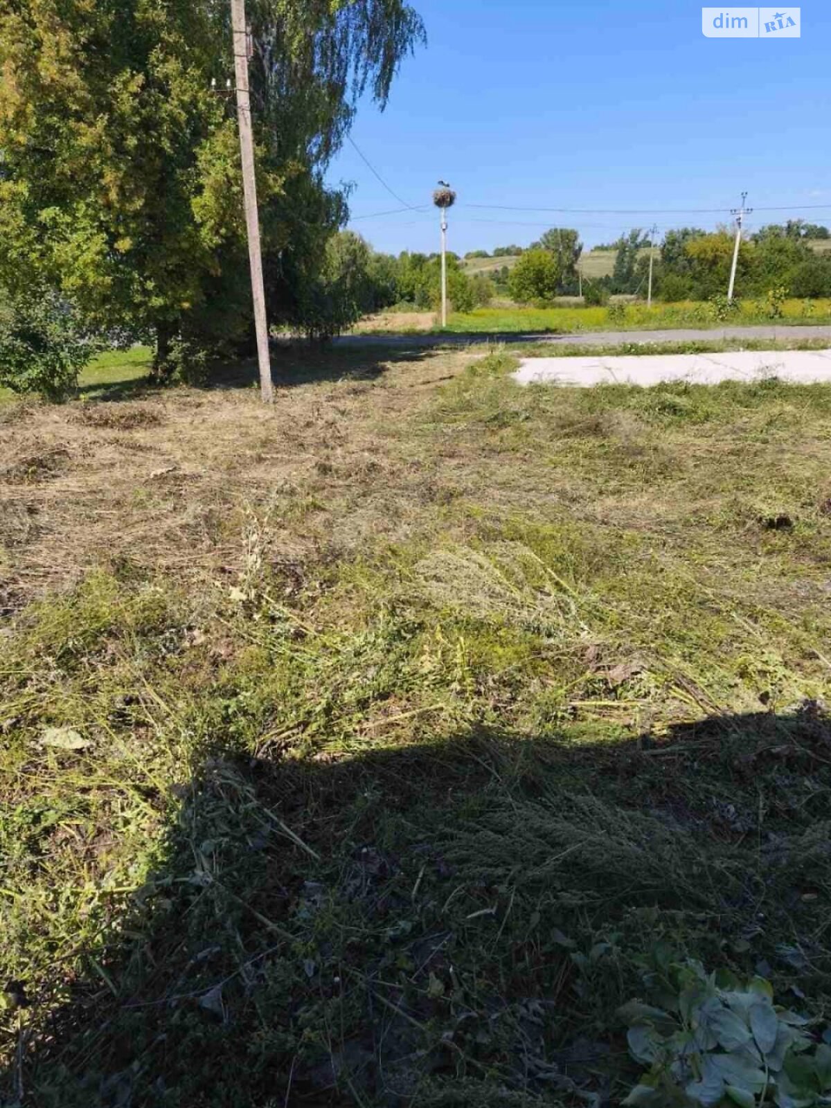 Аренда земли коммерческого назначения в Новоставе, цена: 6 682 грн за объект фото 1