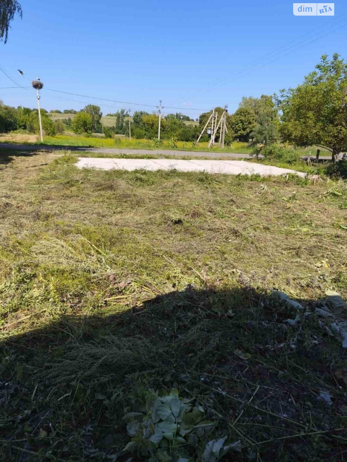 Аренда земли коммерческого назначения в Новоставе, цена: 6 682 грн за объект фото 1