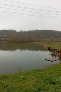 Оренда землі комерційного призначення в Очеретному, ціна: 10 171 грн за об’єкт фото 2