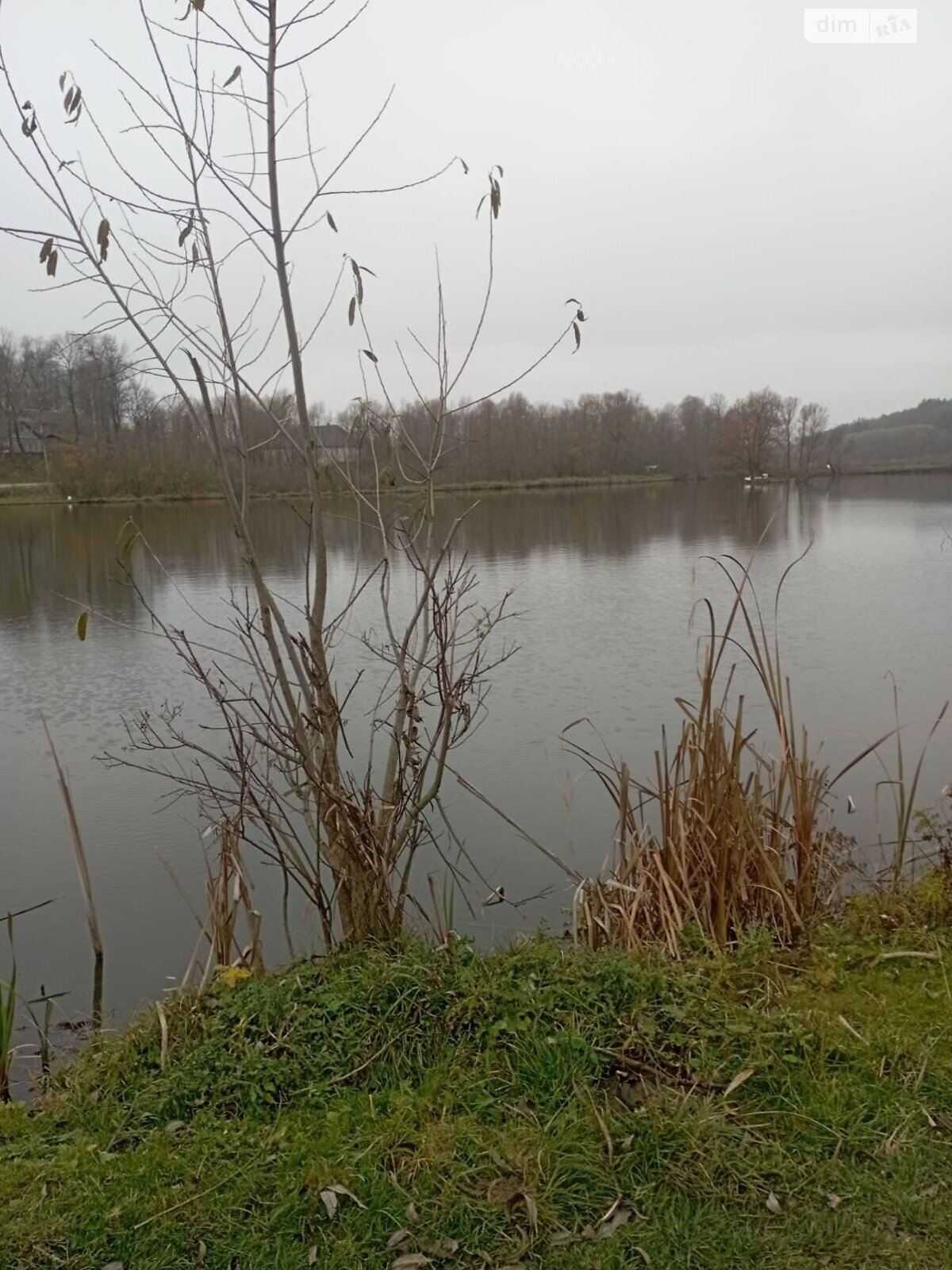 Оренда землі комерційного призначення в Очеретному, ціна: 10 171 грн за об’єкт фото 1