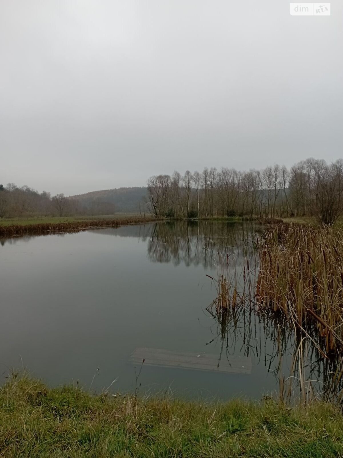 Оренда землі комерційного призначення в Очеретному, ціна: 10 171 грн за об’єкт фото 1