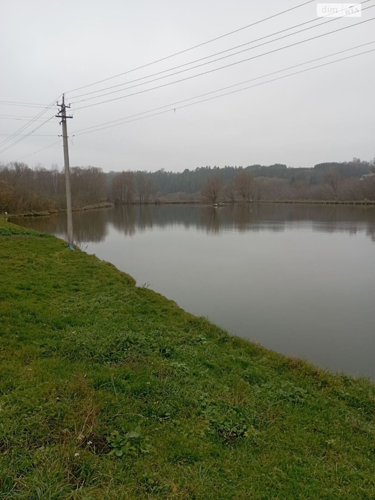 Оренда землі комерційного призначення в Очеретному, ціна: 10 171 грн за об’єкт фото 1