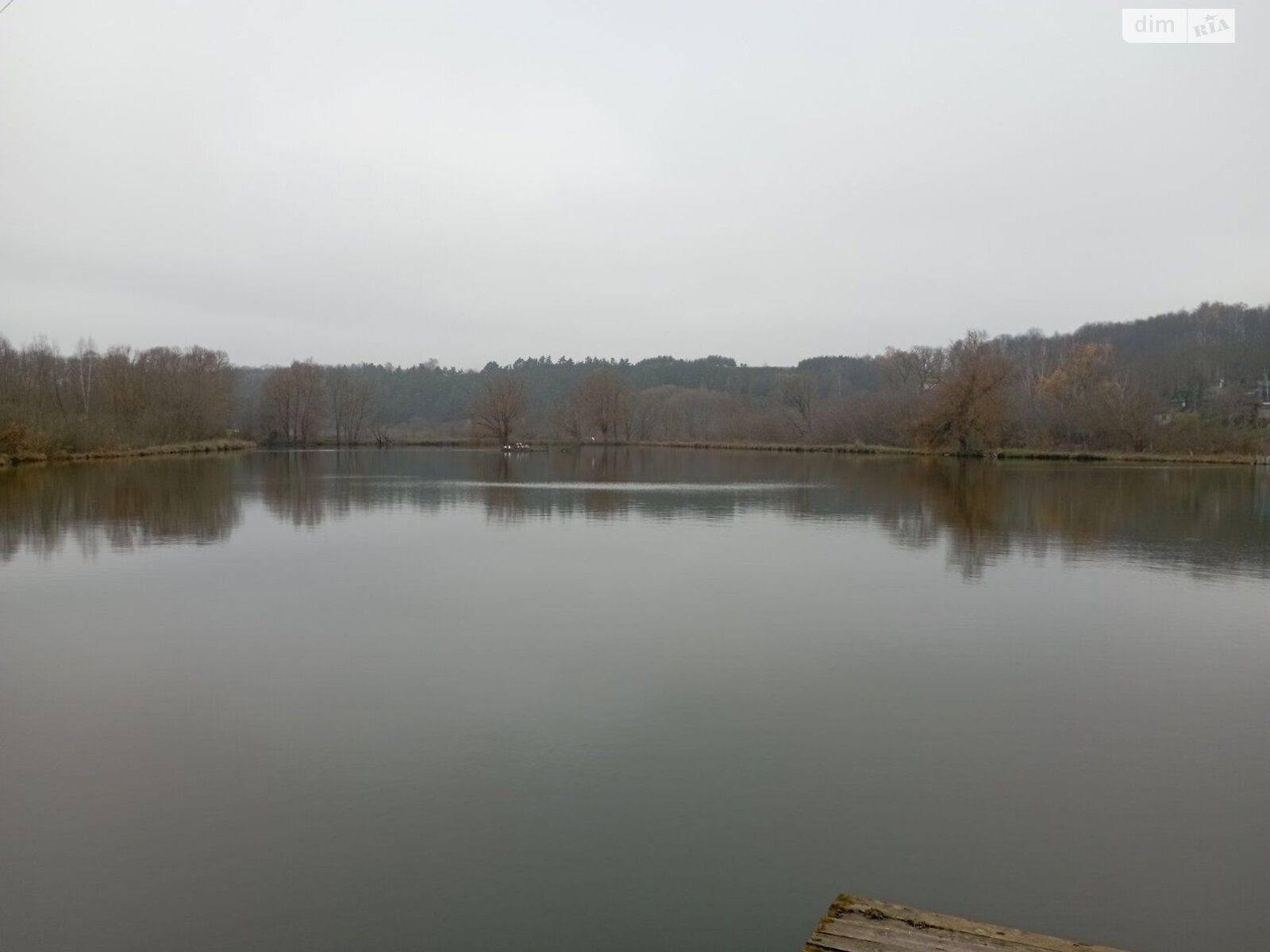 Оренда землі комерційного призначення в Очеретному, ціна: 10 171 грн за об’єкт фото 1