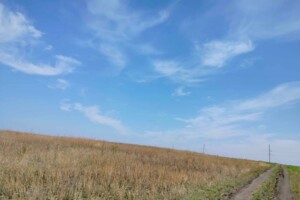 Оренда землі комерційного призначення в Окни, ціна: 624 193 грн за об’єкт фото 2 Оренда землі комерційного призначення в Окни, ціна: 624 193 грн за об’єкт фото 2