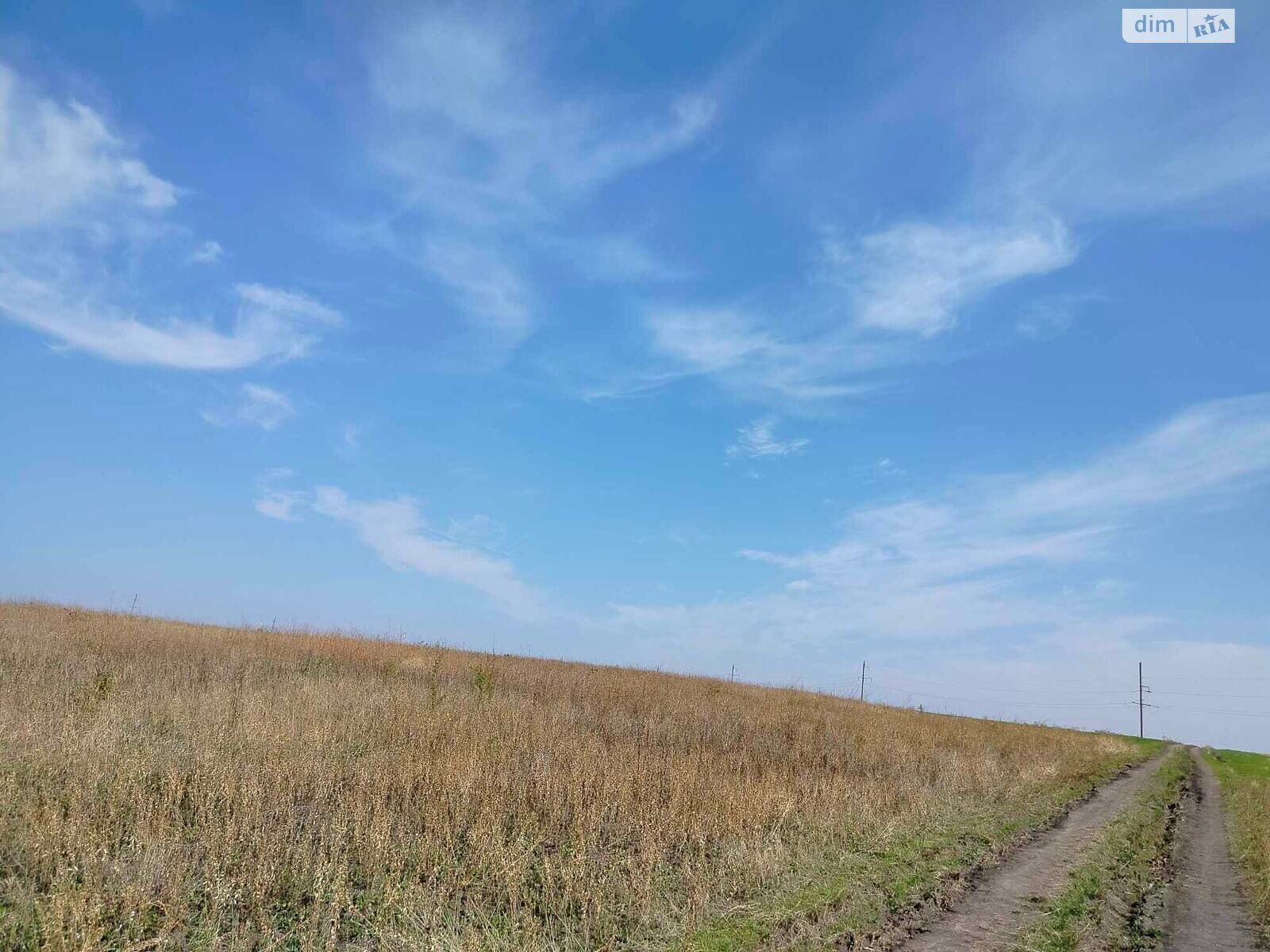 Оренда землі комерційного призначення в Окни, ціна: 624 193 грн за об’єкт фото 1 Оренда землі комерційного призначення в Окни, ціна: 624 193 грн за об’єкт фото 1