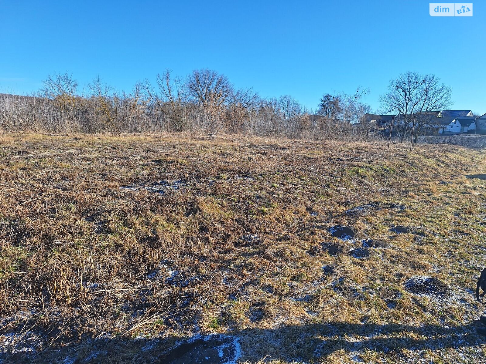 Аренда земли коммерческого назначения в Онишковцах, цена: 20 996 грн за объект фото 1 Аренда земли коммерческого назначения в Онишковцах, цена: 20 996 грн за объект фото 1