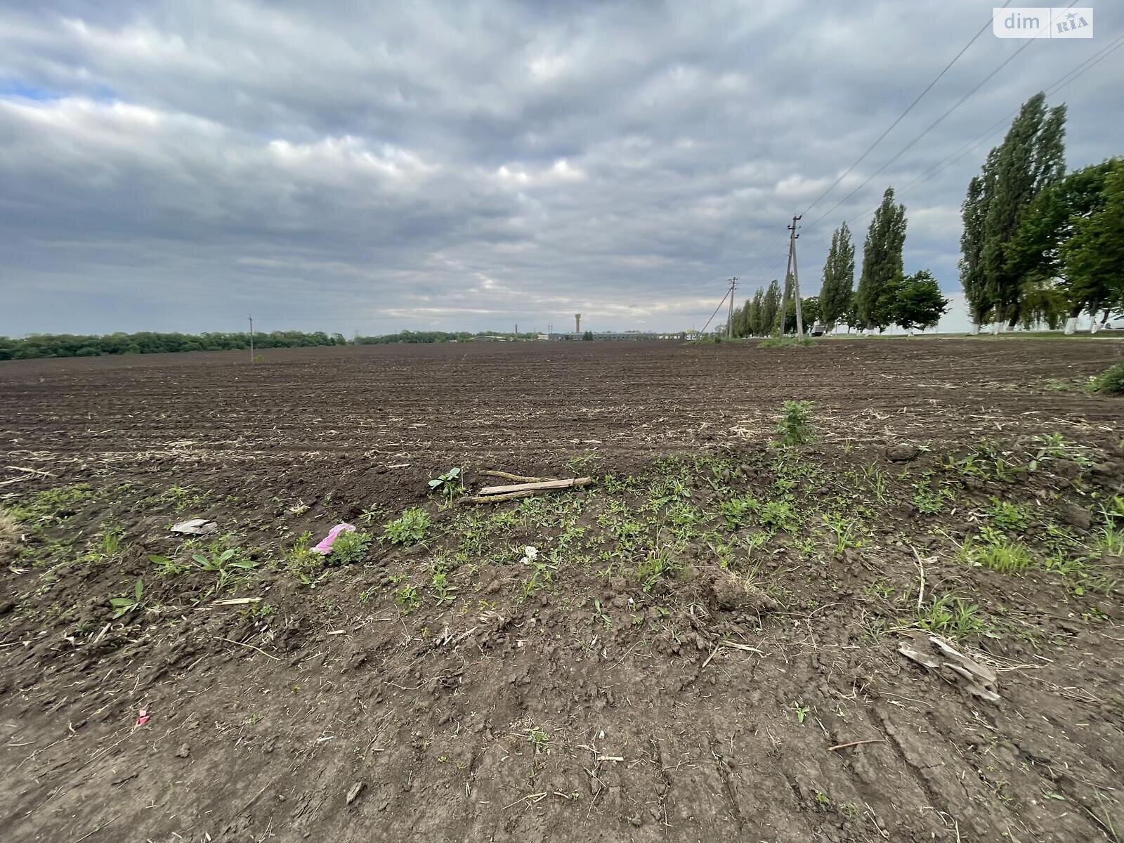 Оренда землі комерційного призначення в Острові, ціна: 900 000 грн за об’єкт фото 1 Оренда землі комерційного призначення в Острові, ціна: 900 000 грн за об’єкт фото 1