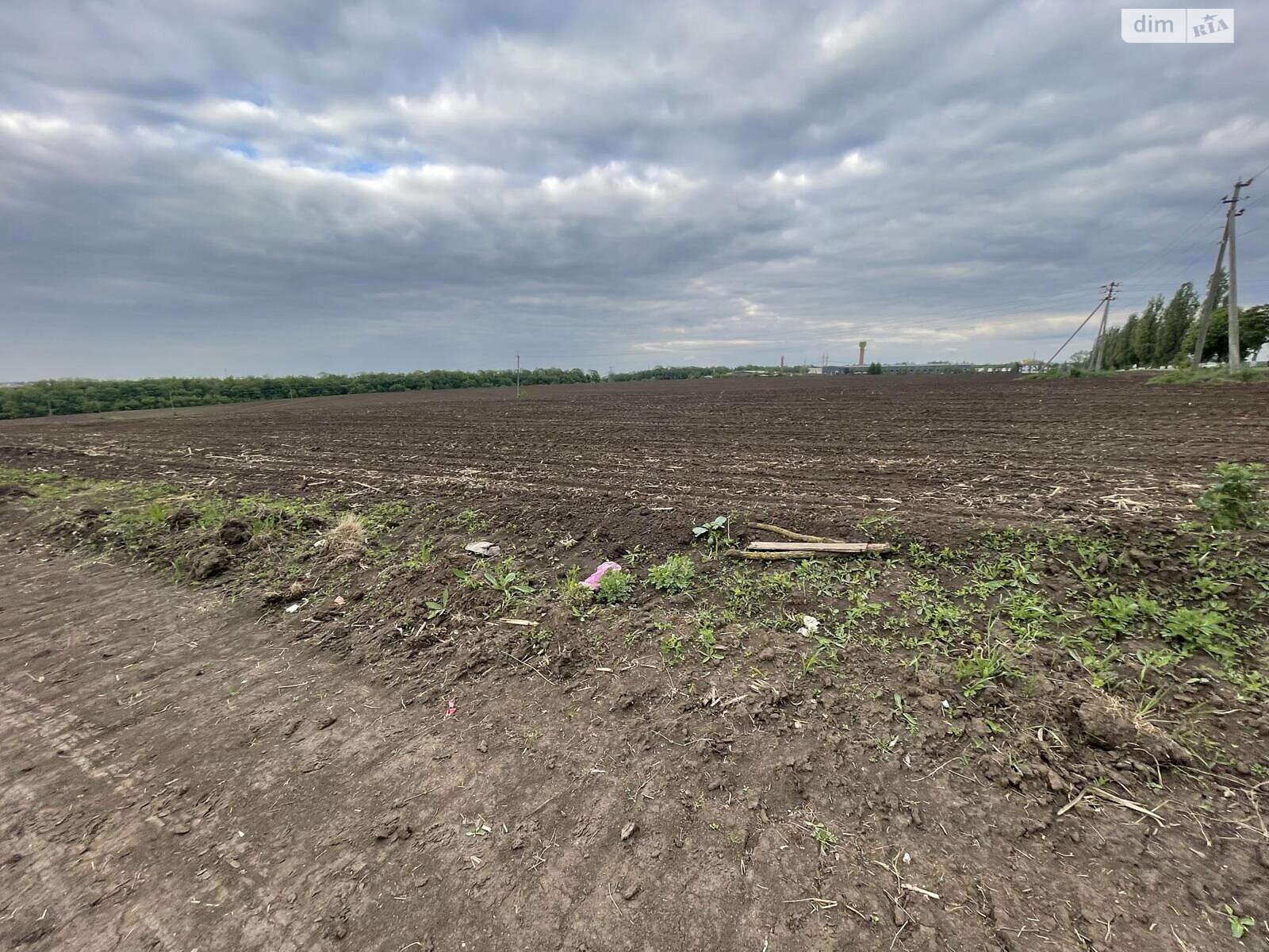 Оренда землі комерційного призначення в Острові, ціна: 900 000 грн за об’єкт фото 1 Оренда землі комерційного призначення в Острові, ціна: 900 000 грн за об’єкт фото 1