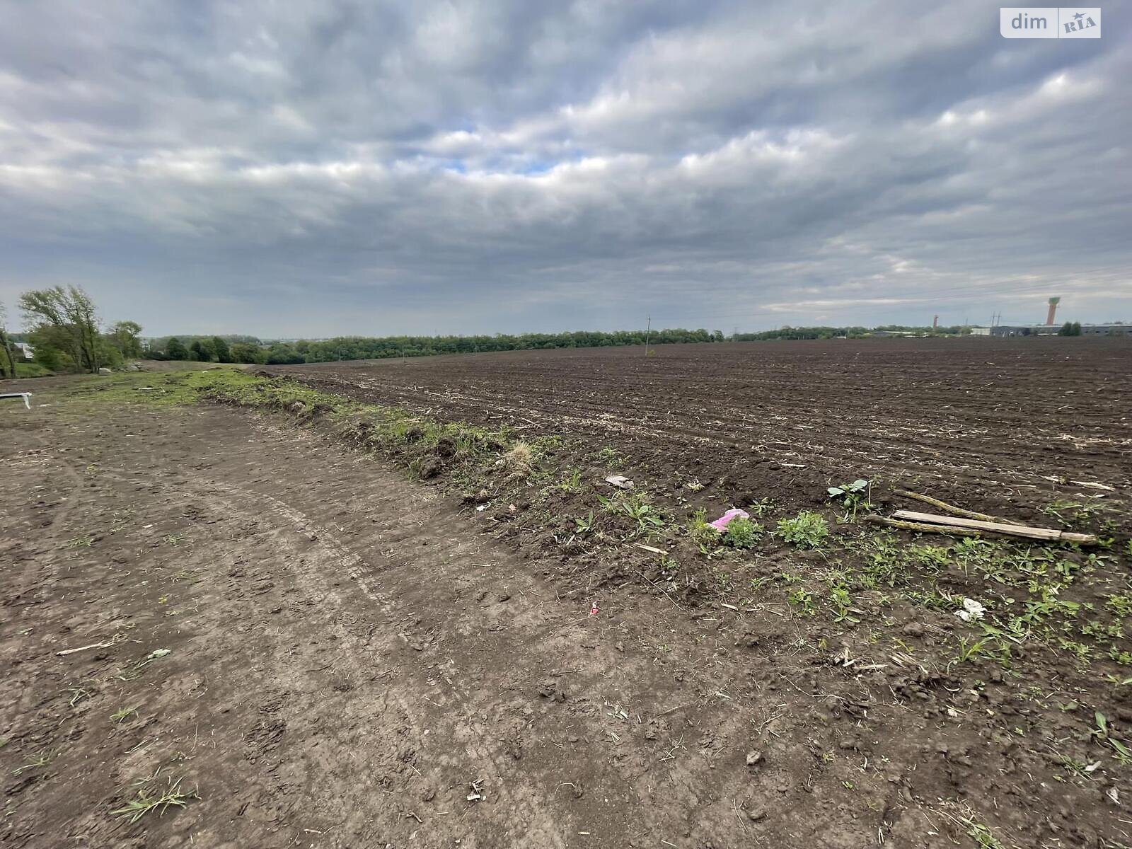 Оренда землі комерційного призначення в Острові, ціна: 900 000 грн за об’єкт фото 1 Оренда землі комерційного призначення в Острові, ціна: 900 000 грн за об’єкт фото 1