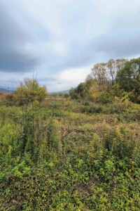 Оренда землі комерційного призначення в Перечині, ціна: 59 874 грн за об’єкт фото 2