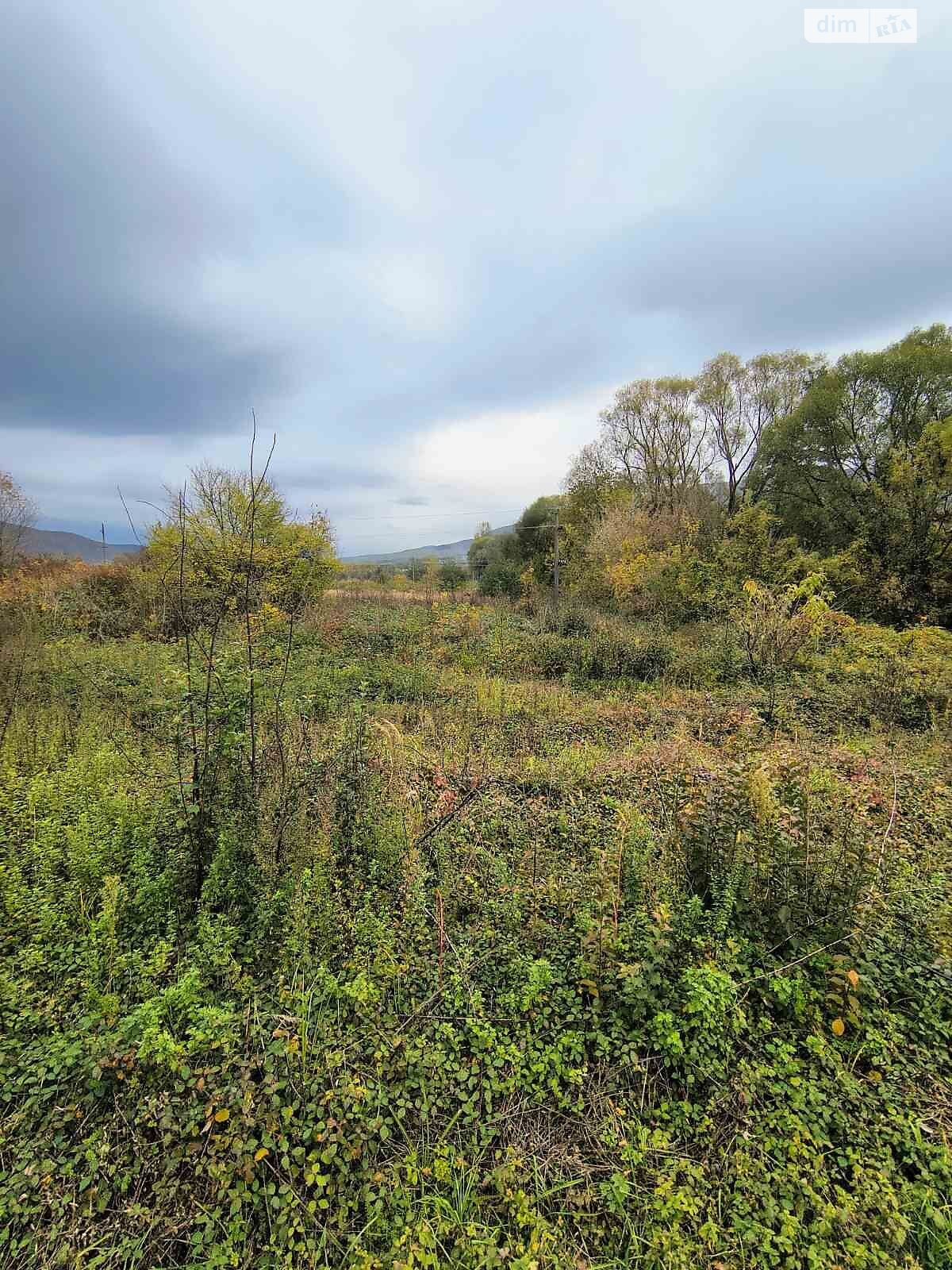 Оренда землі комерційного призначення в Перечині, ціна: 59 874 грн за об’єкт фото 1