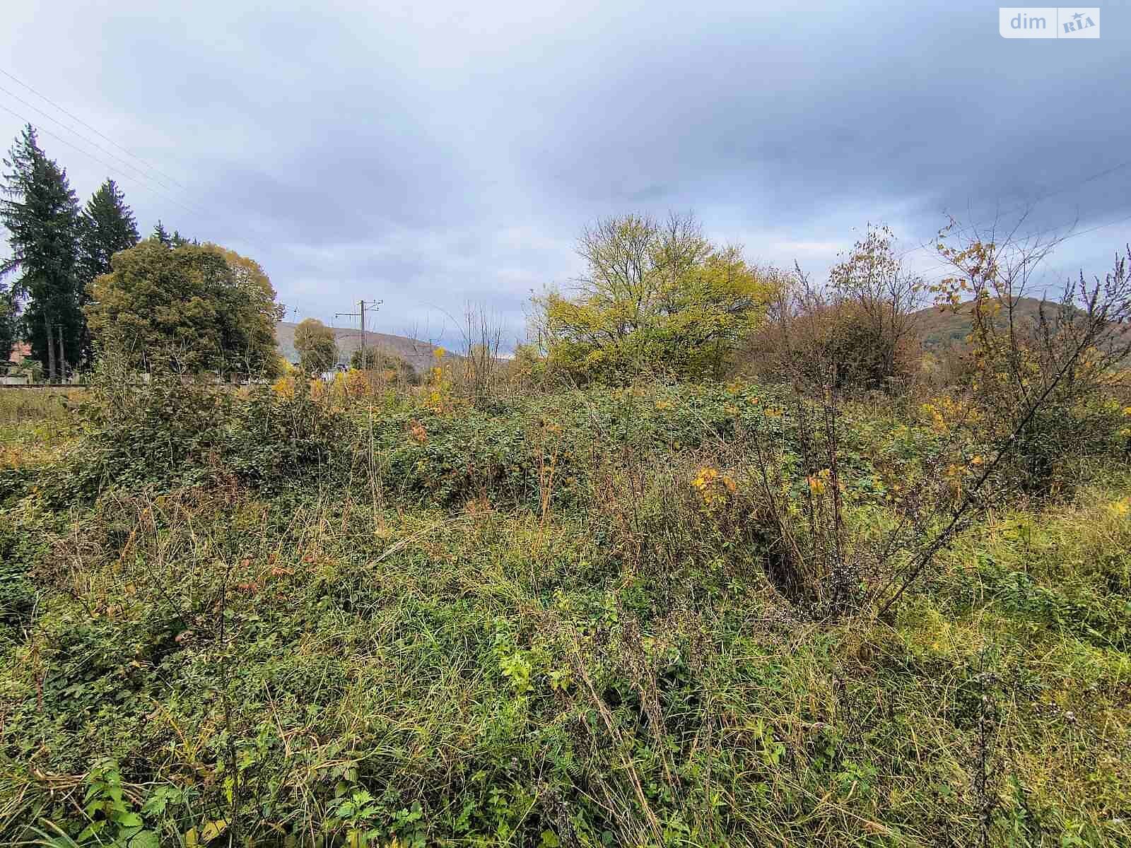 Оренда землі комерційного призначення в Перечині, ціна: 59 874 грн за об’єкт фото 1