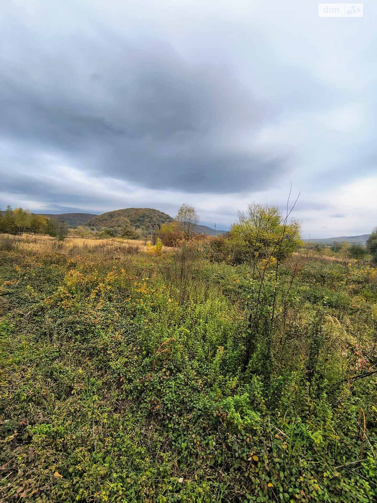 Оренда землі комерційного призначення в Перечині, ціна: 59 874 грн за об’єкт фото 1