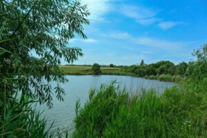 Оренда землі комерційного призначення в Подорожньому, ціна: 10 914 грн за об’єкт фото 1