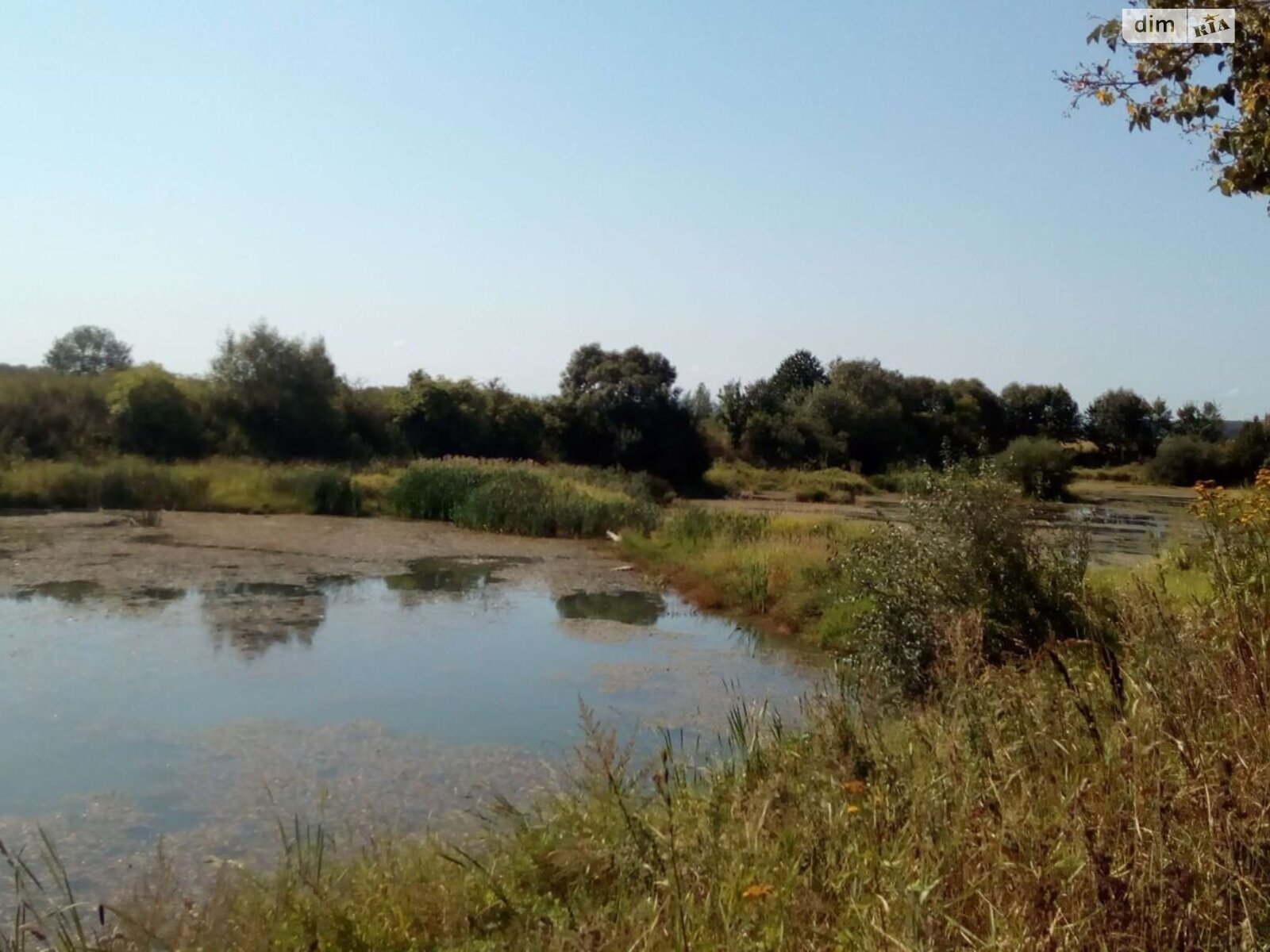 Аренда земли коммерческого назначения в Райлове, цена: 500 грн за объект фото 1 Аренда земли коммерческого назначения в Райлове, цена: 500 грн за объект фото 1