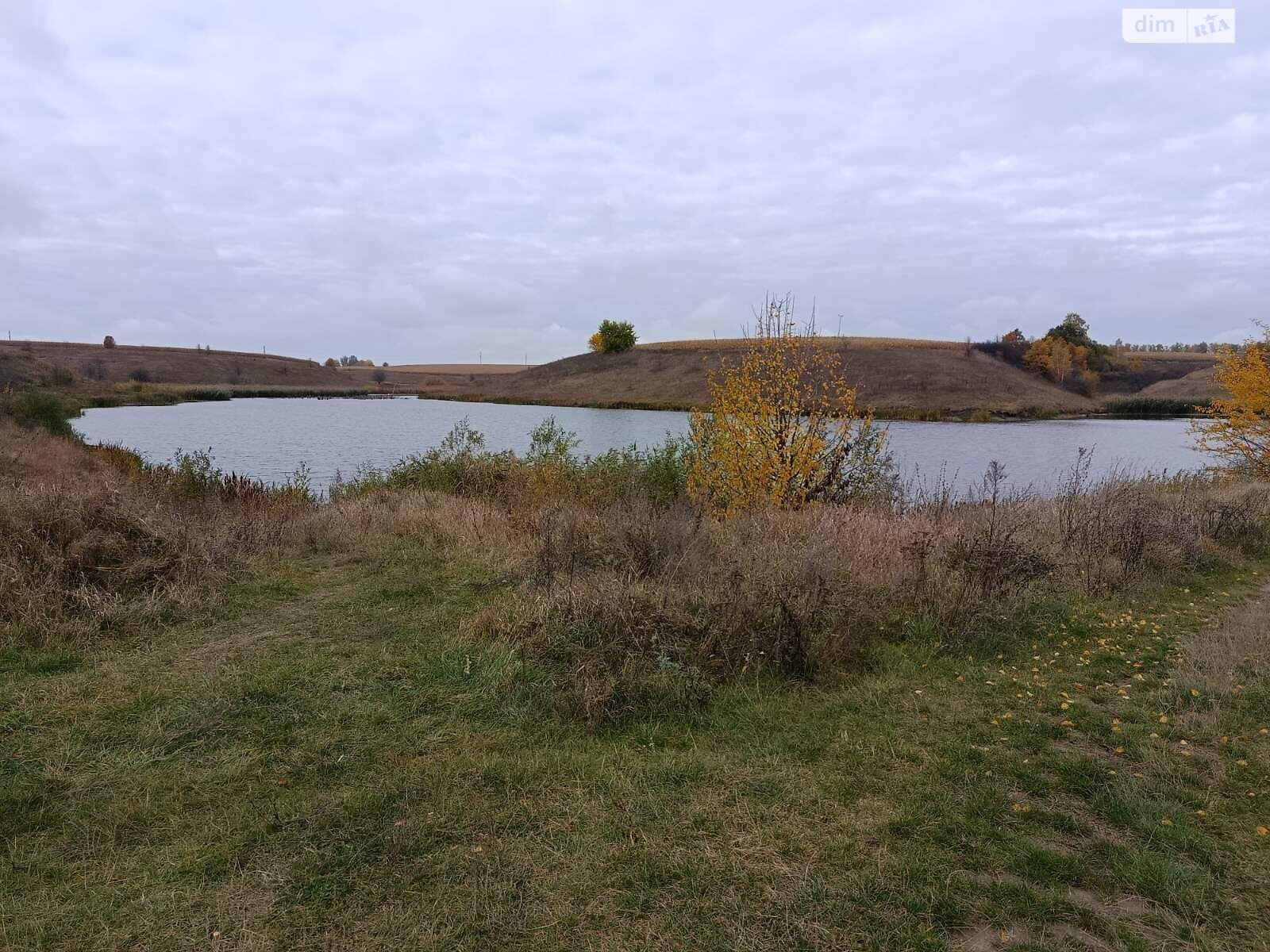 Оренда землі комерційного призначення в Ромнах, ціна: 8 215 грн за об’єкт фото 1 Оренда землі комерційного призначення в Ромнах, ціна: 8 215 грн за об’єкт фото 1