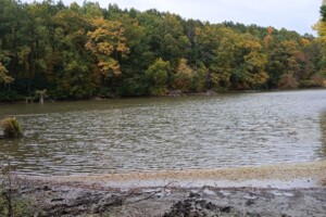 Оренда землі комерційного призначення в Ромнах, ціна: 3 511 грн за об’єкт фото 2