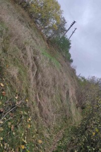 Аренда земли коммерческого назначения в Сквире, цена: 14 623 грн за объект фото 2