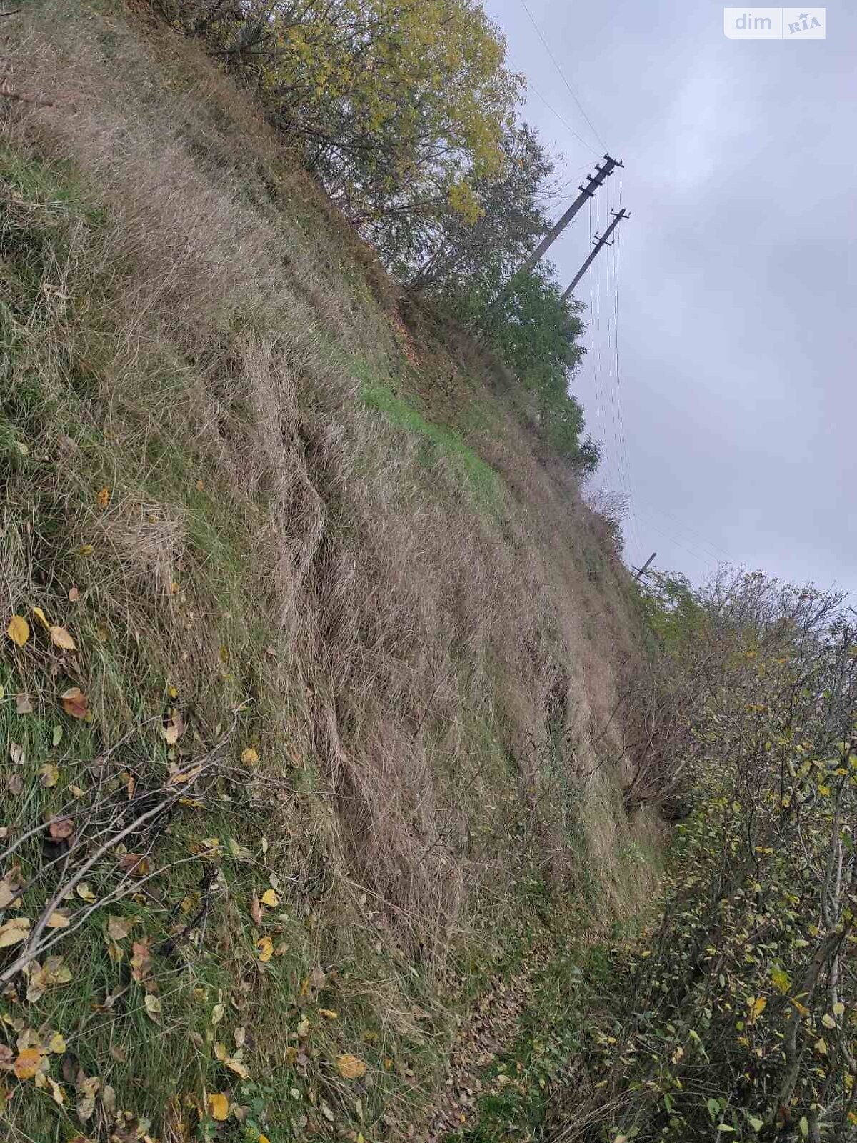 Аренда земли коммерческого назначения в Сквире, цена: 14 623 грн за объект фото 1