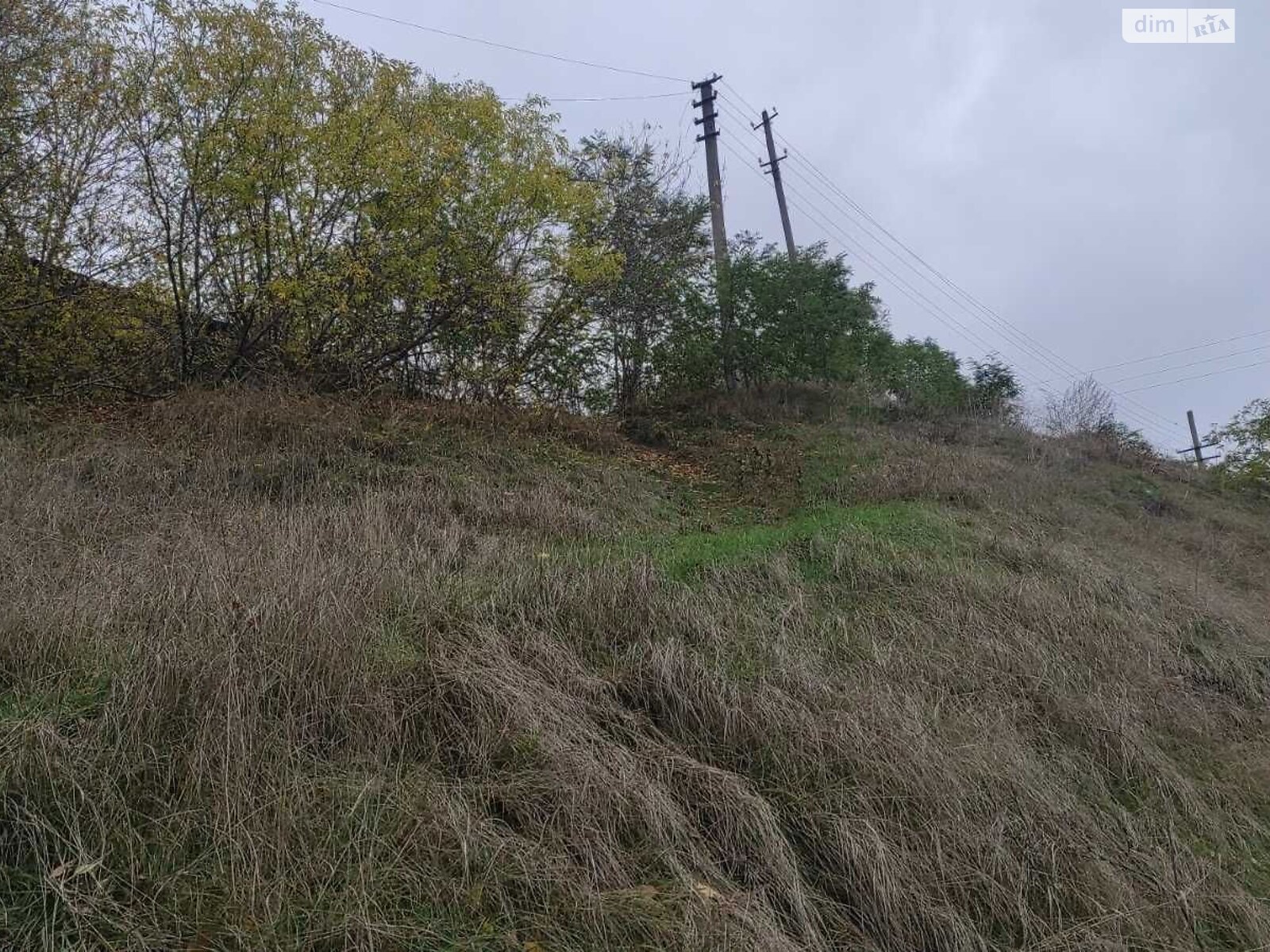 Аренда земли коммерческого назначения в Сквире, цена: 14 623 грн за объект фото 1