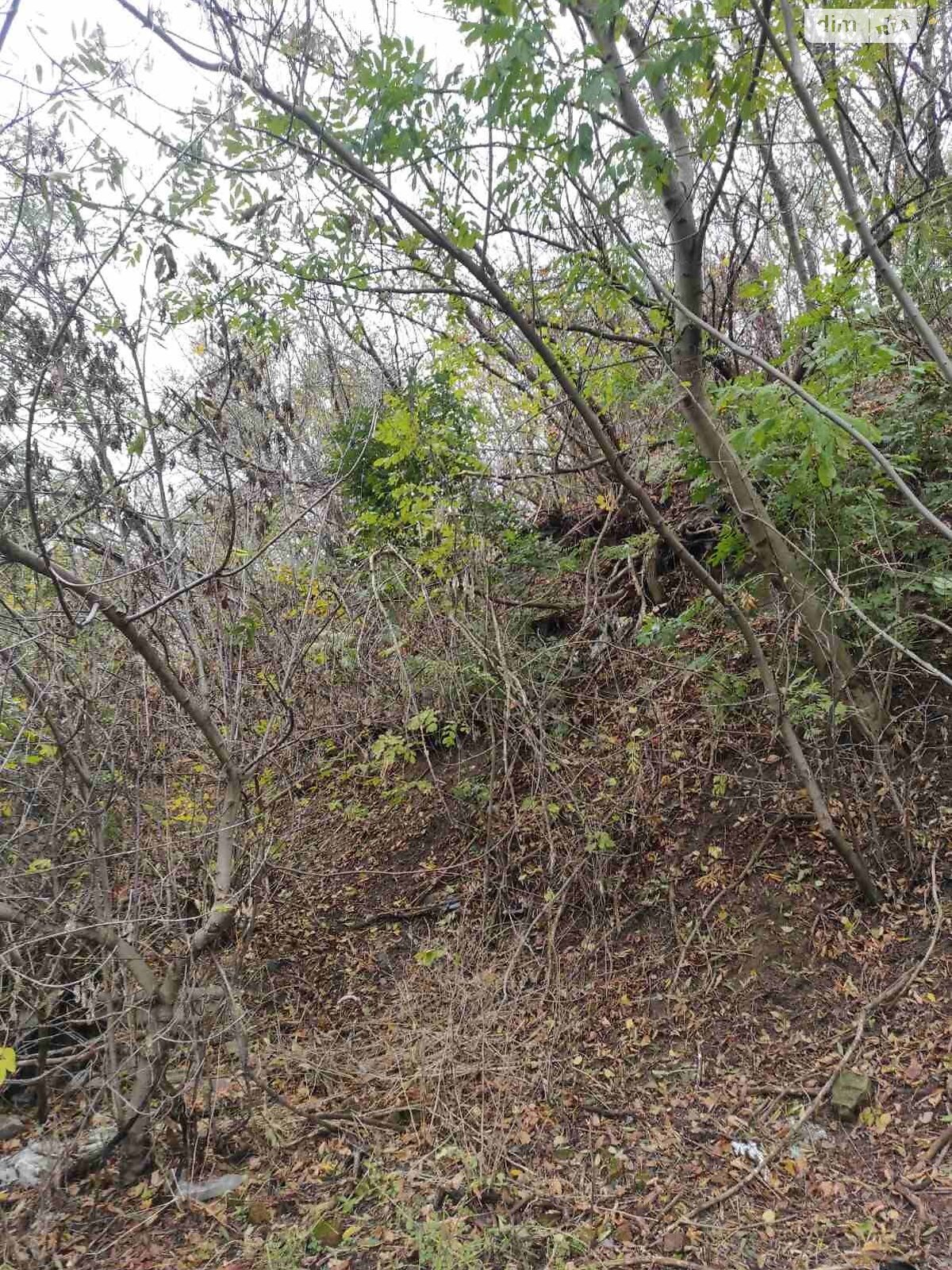 Аренда земли коммерческого назначения в Сквире, цена: 5 446 грн за объект фото 1 Аренда земли коммерческого назначения в Сквире, цена: 5 446 грн за объект фото 1