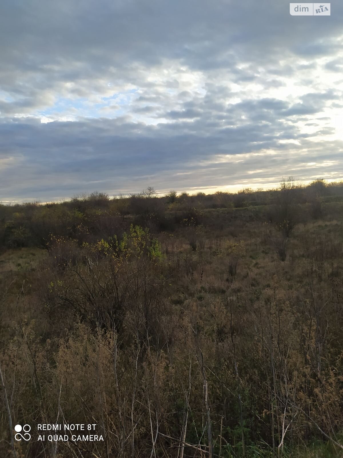 Оренда землі комерційного призначення в Старій Синяві, ціна: 3 234 513 грн за об’єкт фото 1 Оренда землі комерційного призначення в Старій Синяві, ціна: 3 234 513 грн за об’єкт фото 1