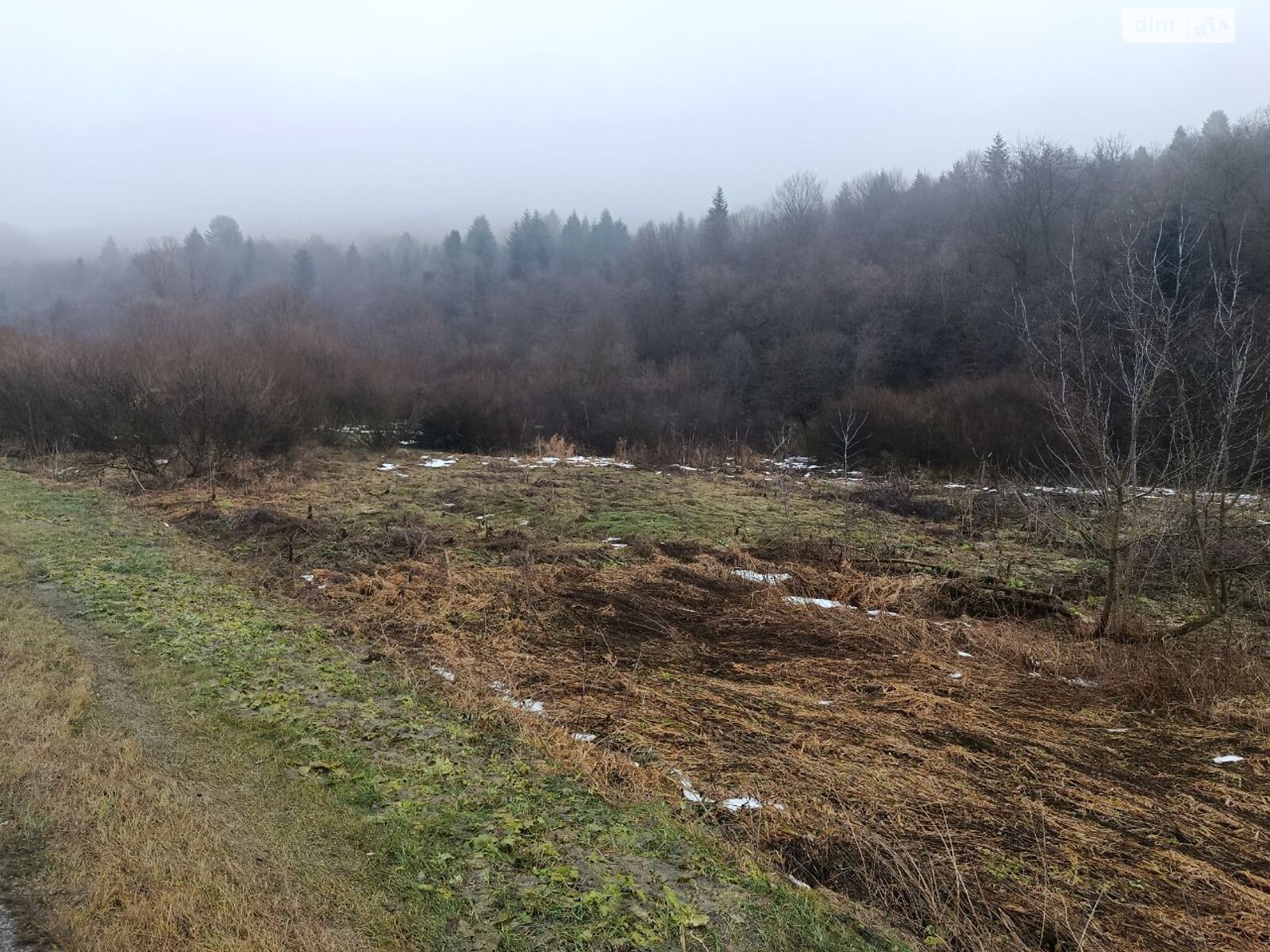 Аренда земли коммерческого назначения в Стрелках, цена: 92 594 грн за объект фото 1 Аренда земли коммерческого назначения в Стрелках, цена: 92 594 грн за объект фото 1