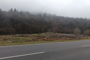 Аренда земли коммерческого назначения в Стрелках, цена: 92 594 грн за объект фото 2 Аренда земли коммерческого назначения в Стрелках, цена: 92 594 грн за объект фото 2