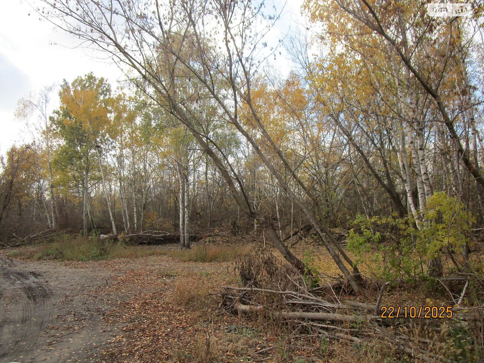 Аренда земли коммерческого назначения в Сумах, цена: 9 050 291 грн за объект фото 1 Аренда земли коммерческого назначения в Сумах, цена: 9 050 291 грн за объект фото 1