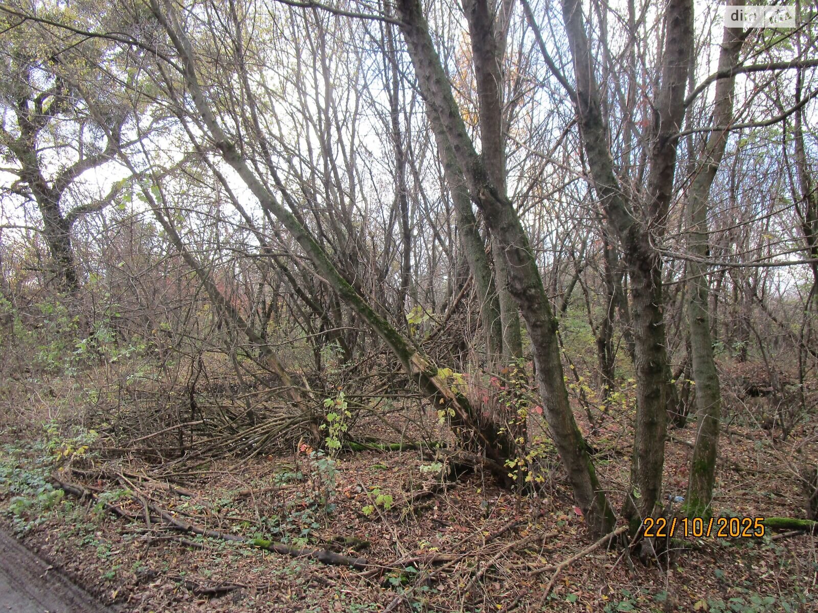 Аренда земли коммерческого назначения в Сумах, цена: 478 485 грн за объект фото 1