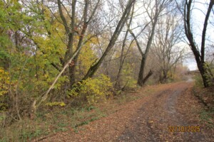 Аренда земли коммерческого назначения в Сумах, цена: 478 485 грн за объект фото 2