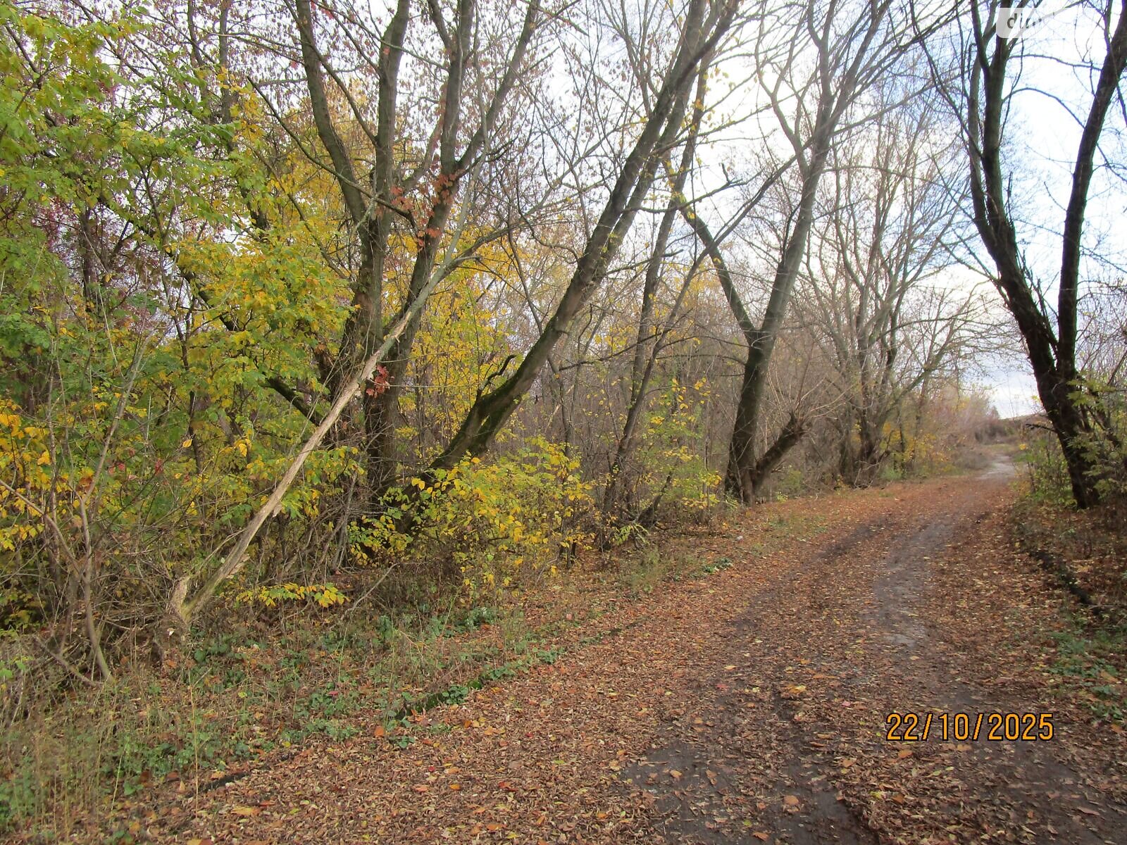 Аренда земли коммерческого назначения в Сумах, цена: 478 485 грн за объект фото 1