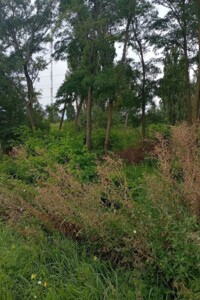 Оренда землі комерційного призначення в Циблях, ціна: 36 791 грн за об’єкт фото 1