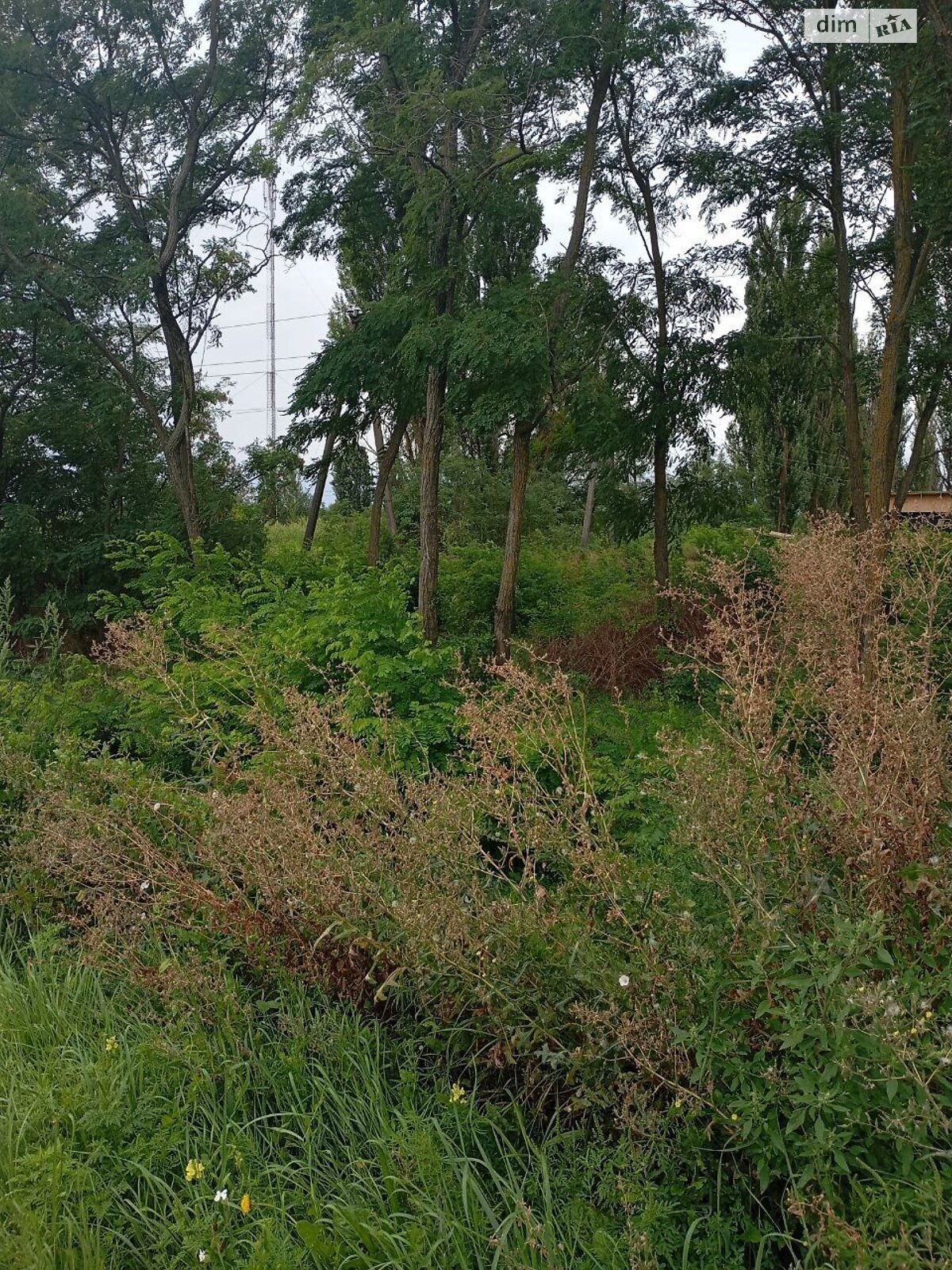 Оренда землі комерційного призначення в Циблях, ціна: 36 791 грн за об’єкт фото 1