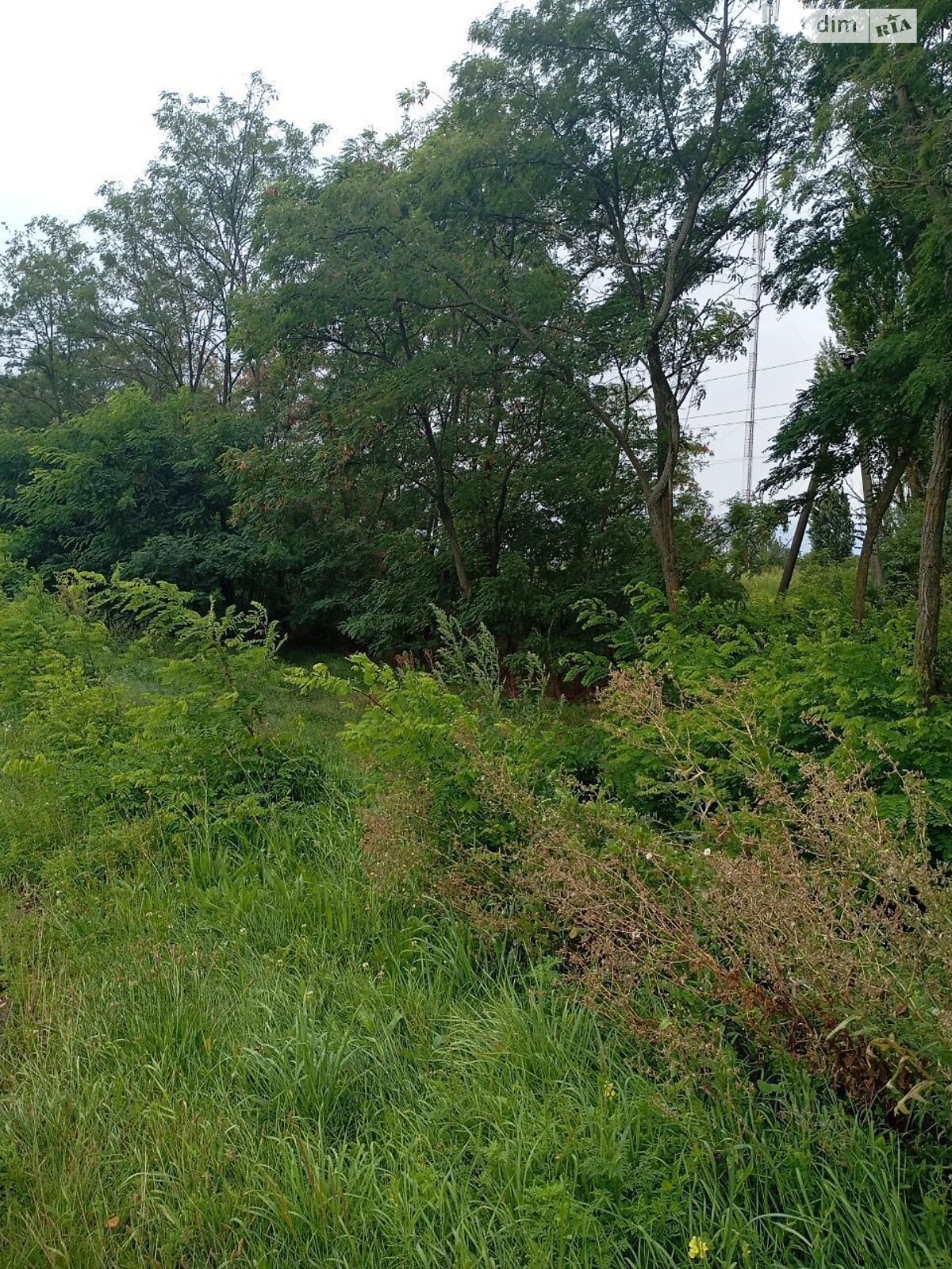 Оренда землі комерційного призначення в Циблях, ціна: 36 791 грн за об’єкт фото 1