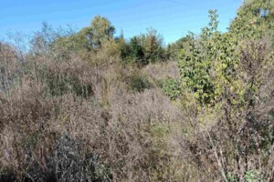 Оренда землі комерційного призначення в Турбовом, ціна: 19 673 грн за об’єкт фото 1