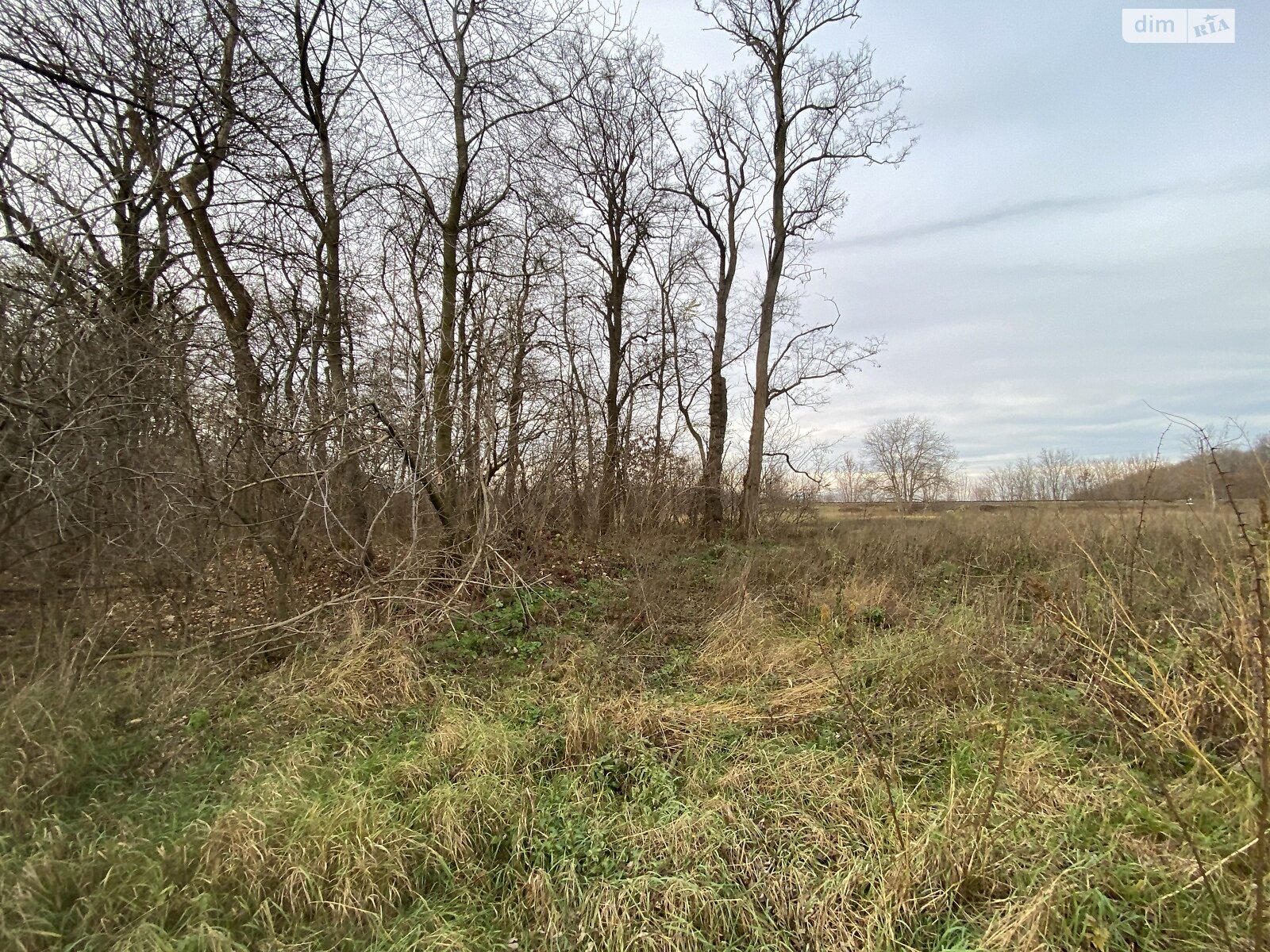 Аренда земли коммерческого назначения в Виннице, цена: 34 000 грн за объект фото 1