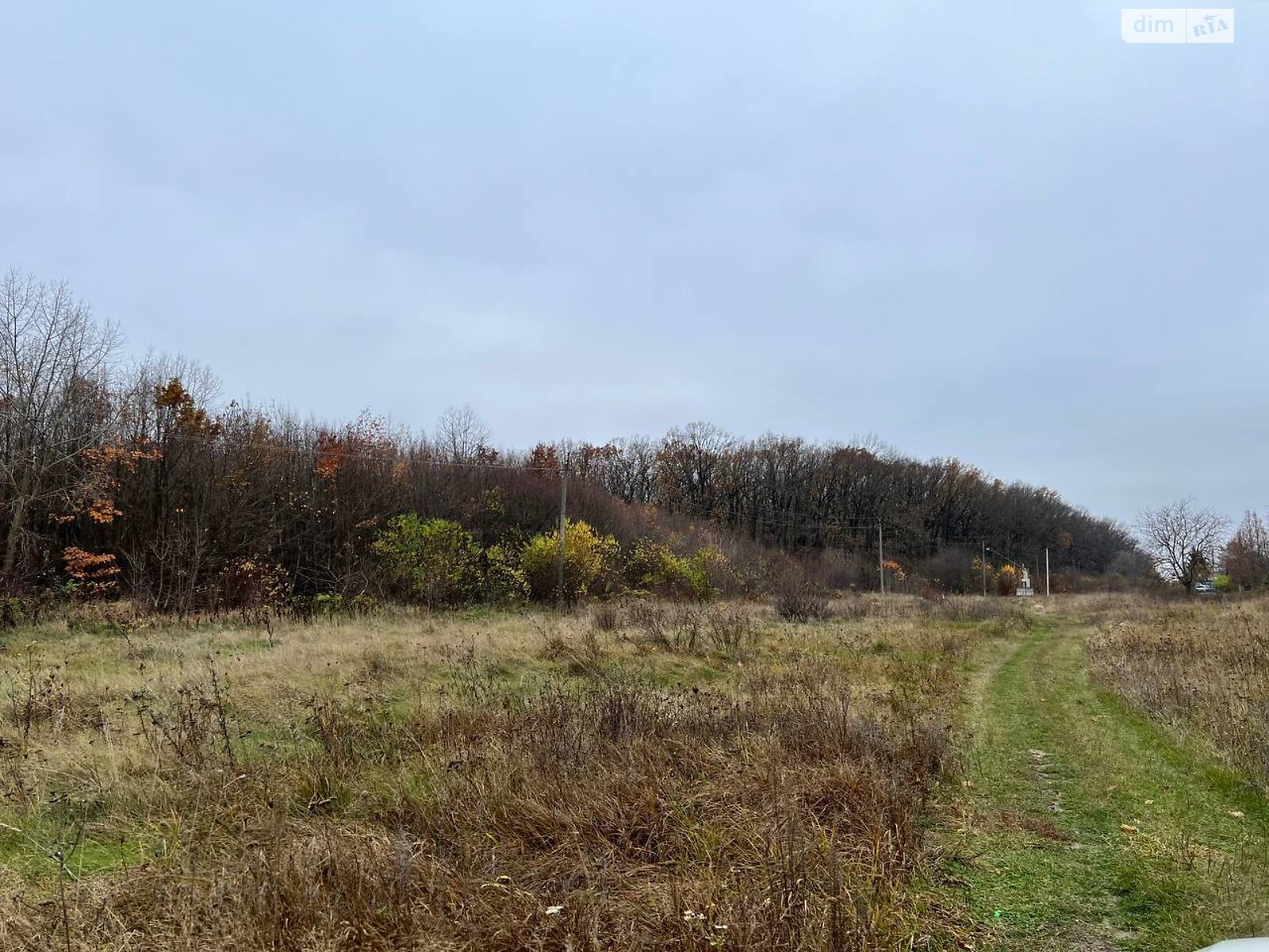 Аренда земли коммерческого назначения в Винницких Хуторах, цена: 150 000 грн за объект фото 1 Аренда земли коммерческого назначения в Винницких Хуторах, цена: 150 000 грн за объект фото 1