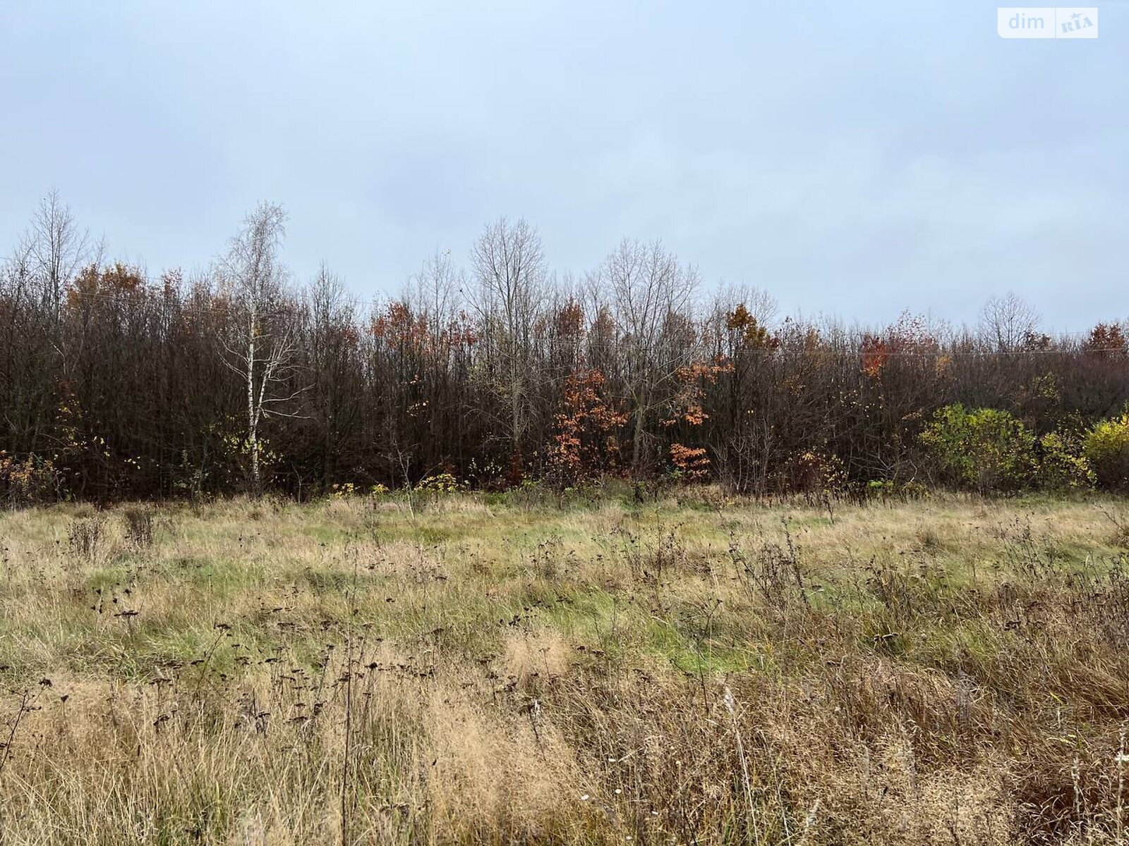 Аренда земли коммерческого назначения в Винницких Хуторах, цена: 150 000 грн за объект фото 1 Аренда земли коммерческого назначения в Винницких Хуторах, цена: 150 000 грн за объект фото 1