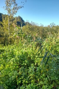 Аренда земли коммерческого назначения в Ярушичах, цена: 2 639 грн за объект фото 2