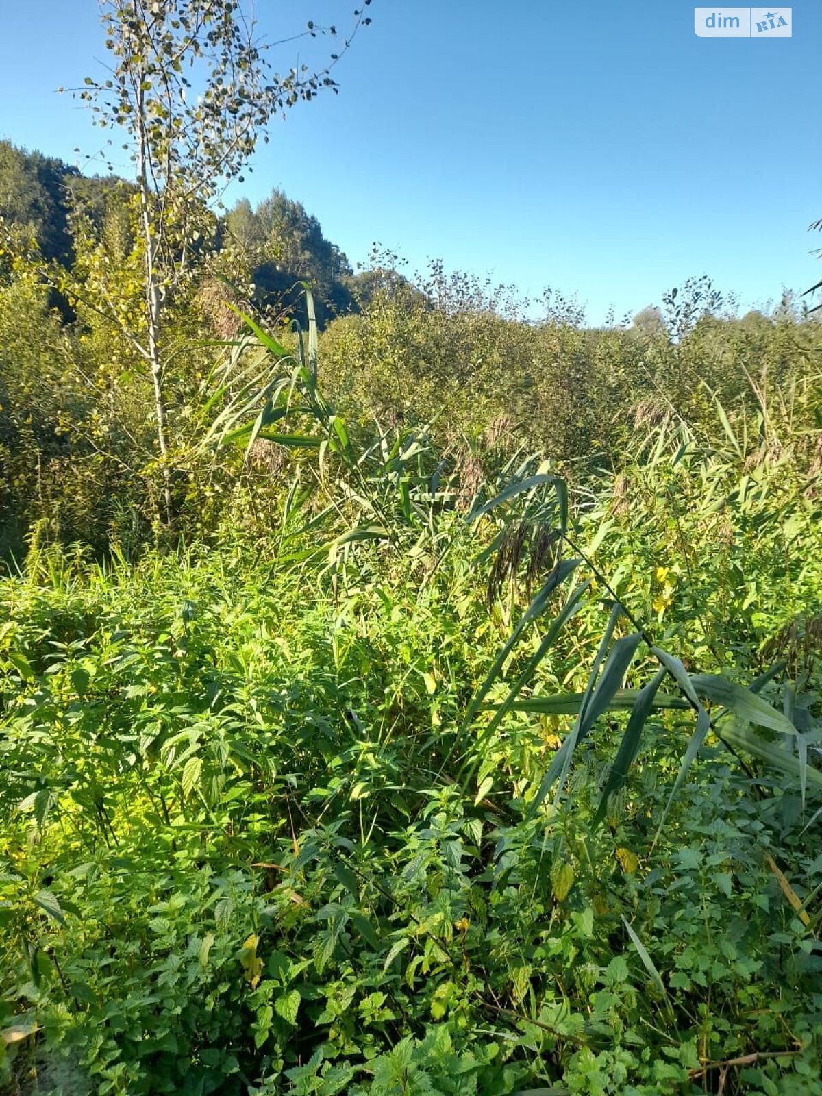 Аренда земли коммерческого назначения в Ярушичах, цена: 2 639 грн за объект фото 1