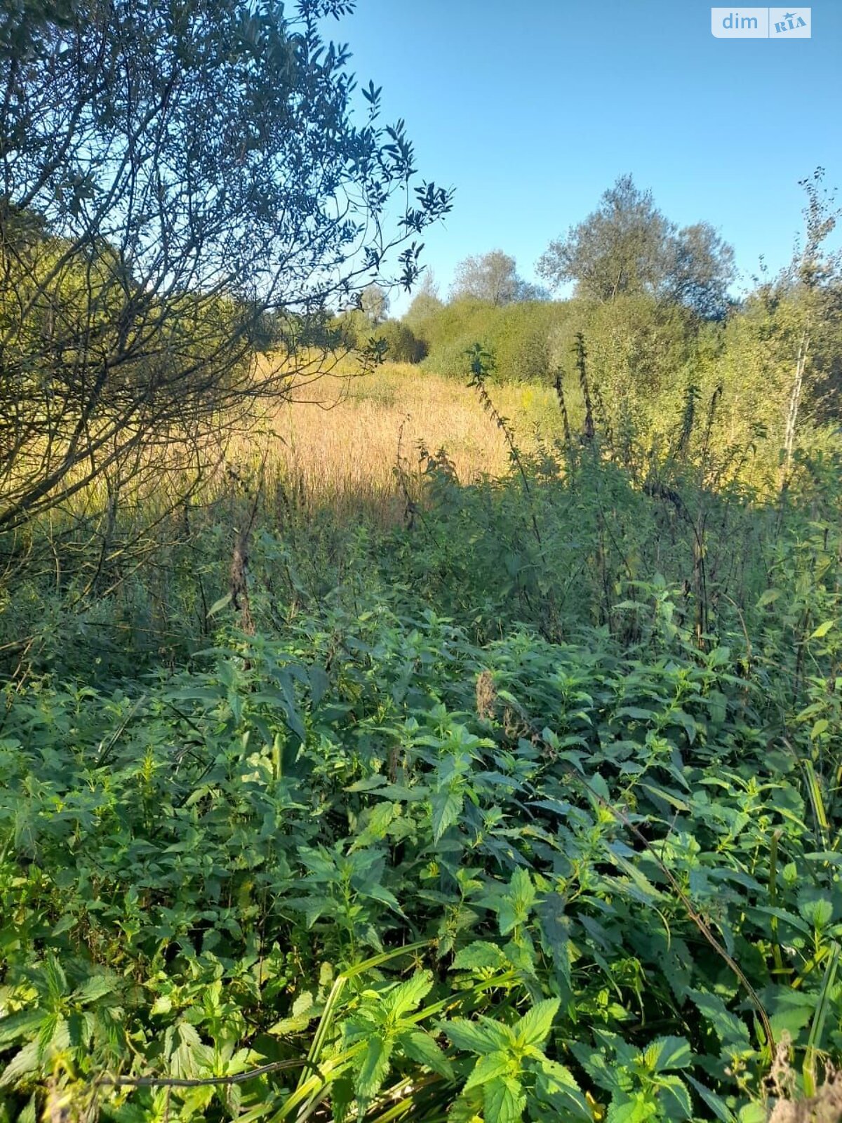 Аренда земли коммерческого назначения в Ярушичах, цена: 2 639 грн за объект фото 1