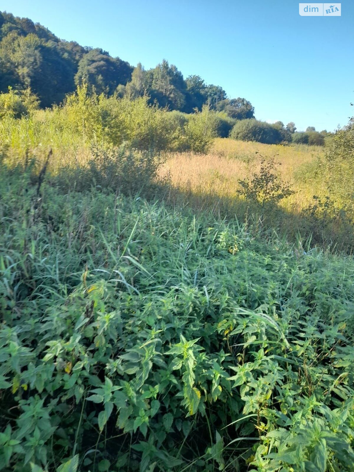 Аренда земли коммерческого назначения в Ярушичах, цена: 2 639 грн за объект фото 1