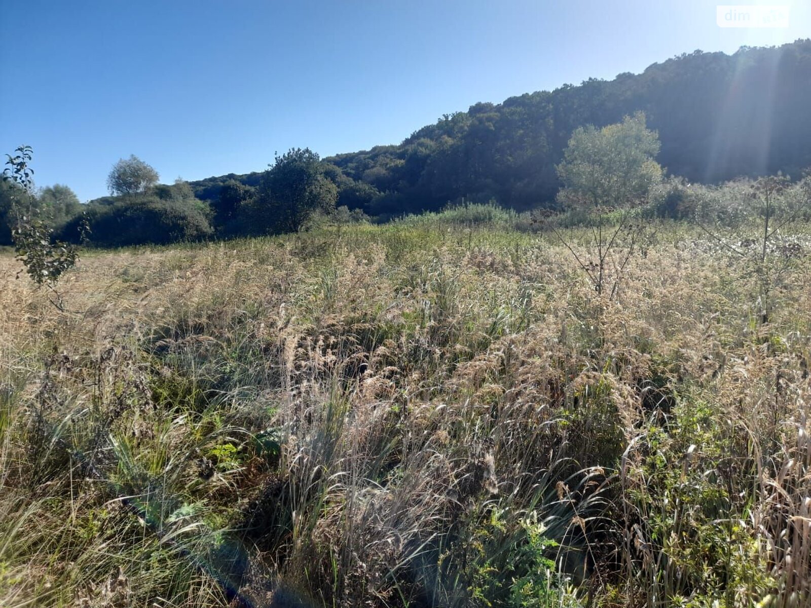 Аренда земли коммерческого назначения в Ярушичах, цена: 2 639 грн за объект фото 1